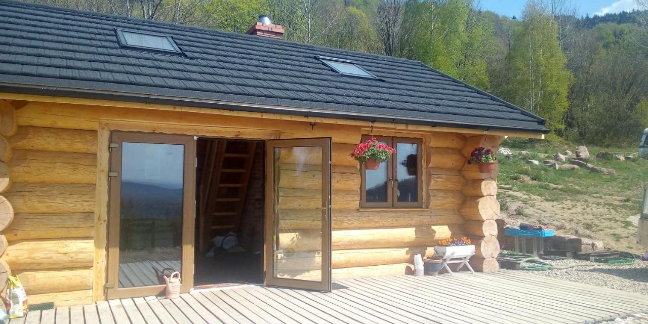 Domek W Gorach Sowich Jugów Kültér fotó